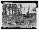 Scene in the woods at foot of Round Top at Battle of Gettysburg