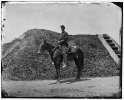 Gettysburg, Pennsylvania. Adj. Lewis Crater 50th Pennsylvania Infantry