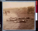 Federal dead on the field of battle of first day, Gettysburg, Pennsylvania