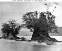 USS Nipsic (1863-1873) 
 
    In Limon Bay, Panama, during the Darien Expedition, 1870. 
 
    Courtesy of The Rev. William D. Henderson, 1967. 
 
    U.S. Naval Historical Center Photograph.