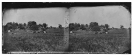 Manassas, Virginia (vicinity). Camp of General Irvin McDowell's body guard