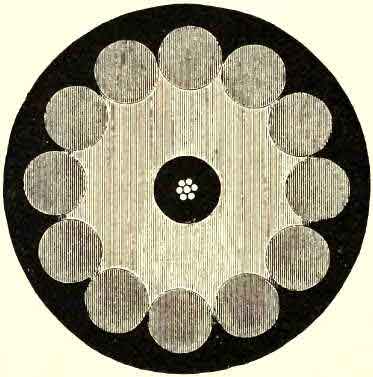 Shore End of Cable-exact size about 3.5 inches in diameter