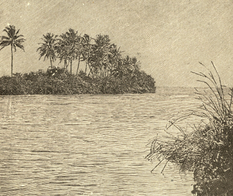 The Mouth of the Miami River, Florida 